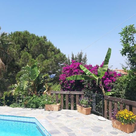 Villa Suites Lagonisi Luxury Bagian luar foto